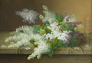 Les Lilas Les Lilas
