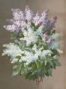 Still Life With Lilacs Still Life With Lilacs