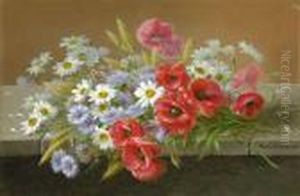 Daisies And Poppies Daisies And Poppies