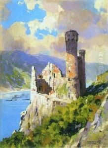 Burg Ehrenfels Im
 Rheingau