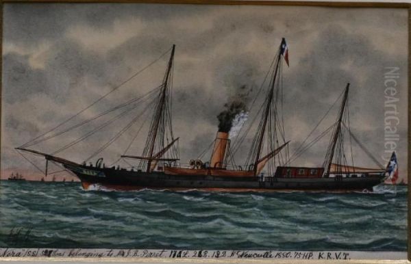 Ss Norabelonging To Mr. J.b Perret (newcastle 1880) - view 1