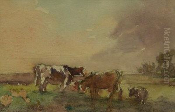 Cows Grazing - view 1