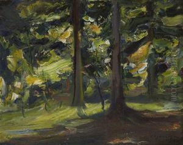 Waldlandschaft - view 1
