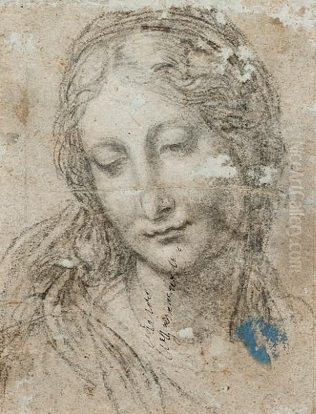 Head Of A Young Woman - view 1