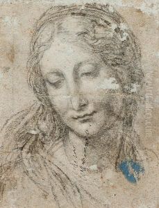 Head Of A Young Woman Head Of A Young Woman