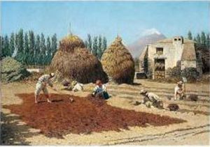 Al Piedi Del Vulcano (by The Volcano)