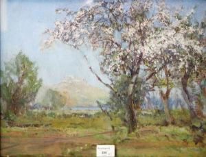 Cherry Blossom by Walter McAdam