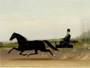 A Trotter And Sulky by James J. Mcauliffe