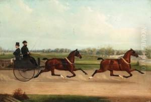 Coaching In Central Park by James J. Mcauliffe