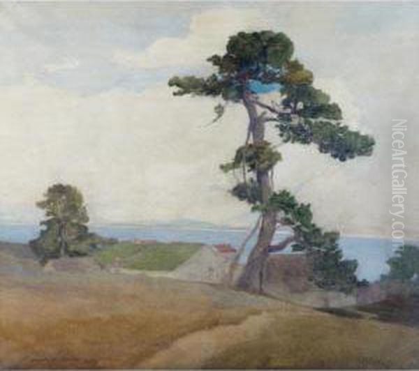 Coastal Scene In California - view 1