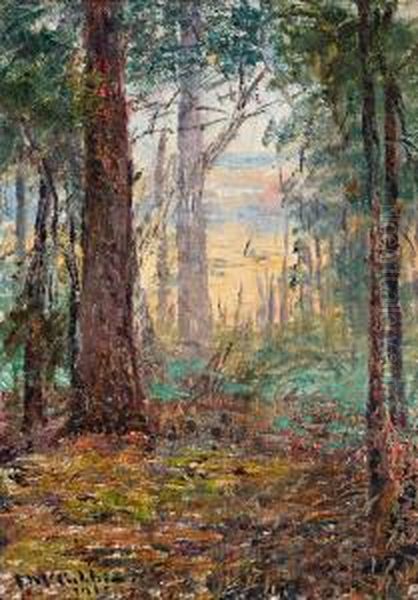 Forest Macedon - view 1