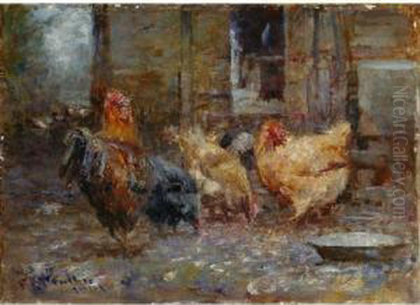 Chickens - view 1