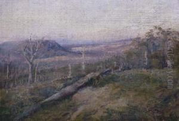 Landscape - view 1