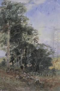 Sheep Grazing Near A Wooded Landscape Sheep Grazing Near A Wooded Landscape