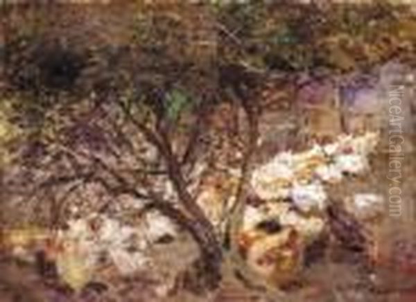 Fowls, Macedon - view 1