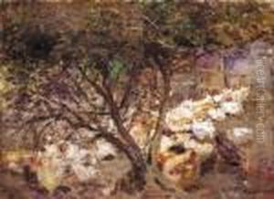 Fowls, Macedon Fowls, Macedon
