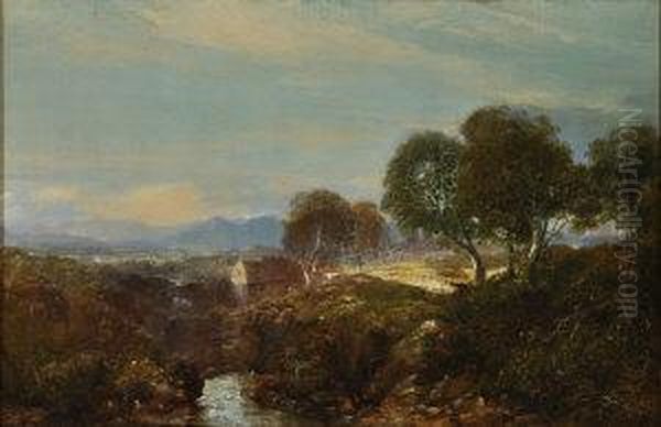 A Watermill In The Highlands - view 1