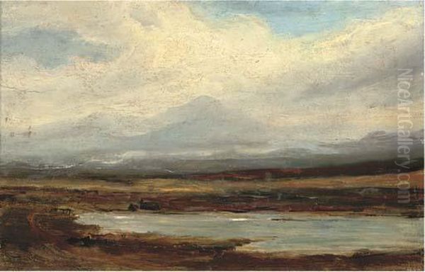 A View Across The Lowlands - view 1