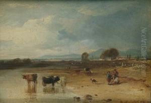 Cattle Watering, In An Extensive Landscape