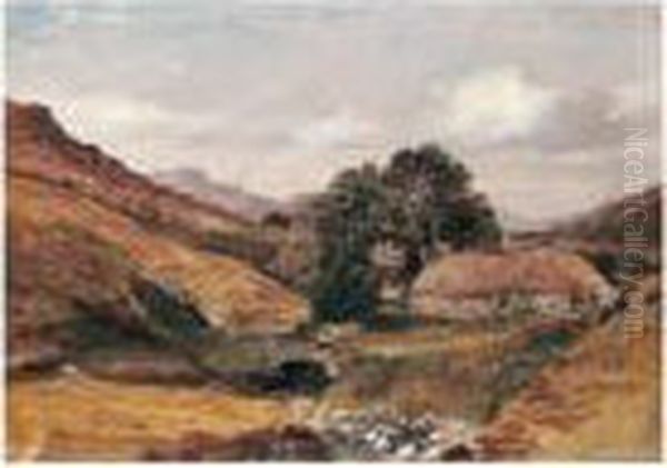 On The Banks Of Loch Lomond - view 1