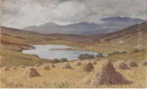 A Cloudy Day On Dartmoor; The Lake, Capel Curig; And The Riveravon
