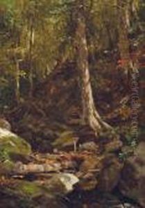 Forest Interior by Jervis McEntee
