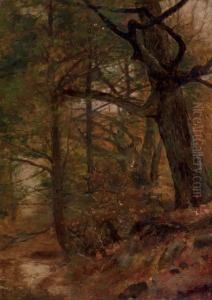 A Grove Of Trees, Ashokan, New York by Jervis McEntee