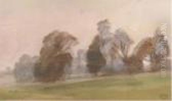 Misty Landscape With Trees - view 1