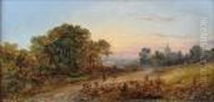 A Walk On A Country Lane