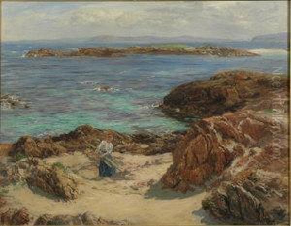 Collecting Driftwood - view 1