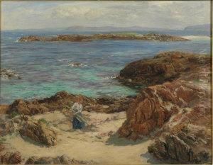 Collecting Driftwood