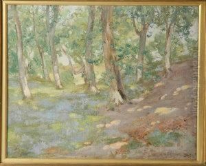 Bluebell Woodland by John Mcghie