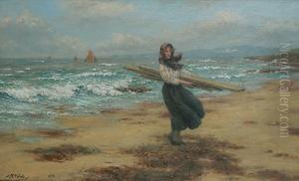 Driftwood - view 1