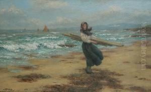 Driftwood