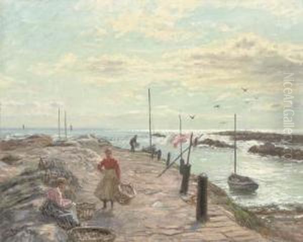 Sunny Morning, The East Neuk, Fife - view 1