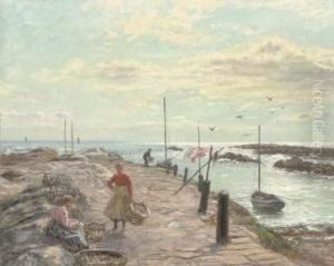 Sunny Morning, The East Neuk, Fife Sunny Morning, The East Neuk, Fife
