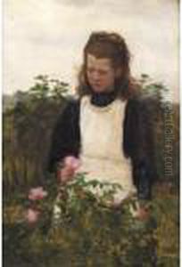 The Rose