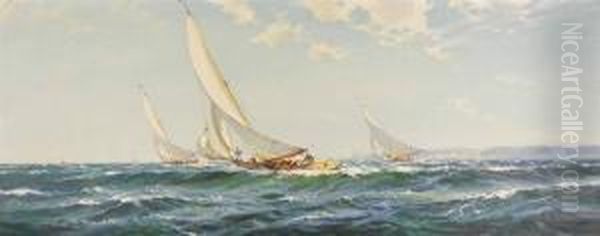 Yacht Racing - view 1