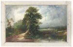 A Quiet Pastoral Landscape A Quiet Pastoral Landscape