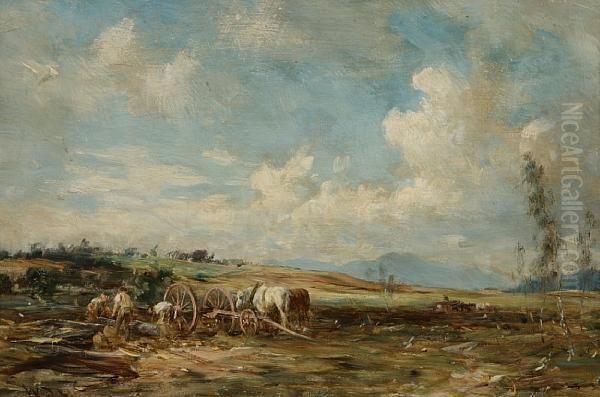 The Woodcutters - view 1
