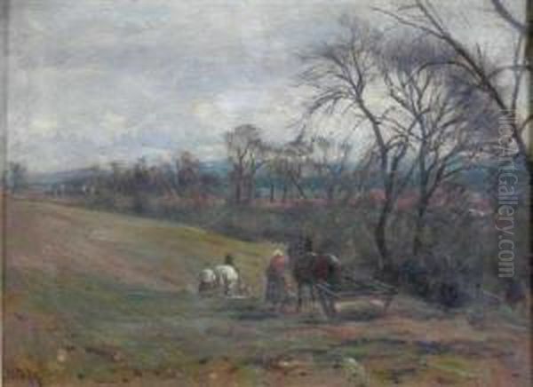 Rolling The Field - view 1