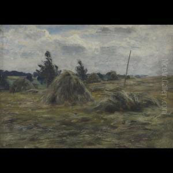 Hayfield - view 1