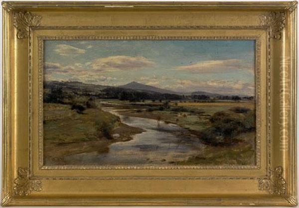 Landscape - view 1