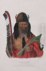 Kish-ke-kosh, A Fox Brave by Mckenney Thomas & Hall James