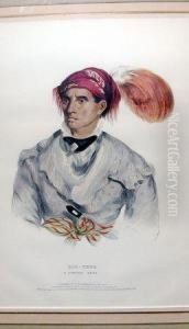 Tah-chee, A Cherokee Chief by Mckenney Thomas & Hall James