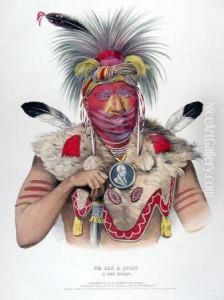 Ne Sou A Quoit, A Fox Chief by Mckenney Thomas & Hall James
