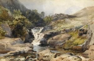 Whilan Beck Eskdale