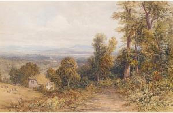 Near Ludlow - view 1