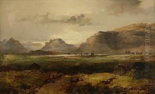 Argylls Near Loch Long - view 1