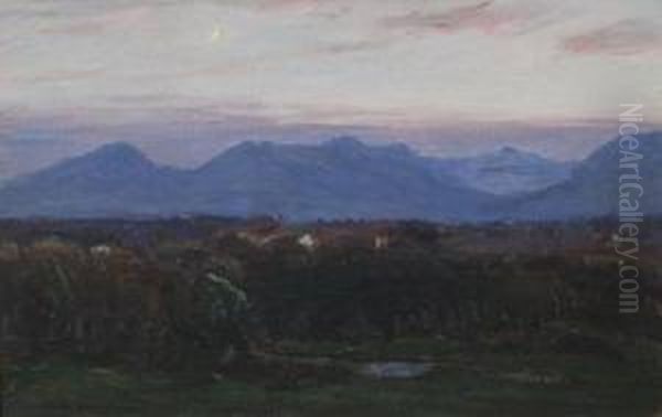 X 33 - view 1